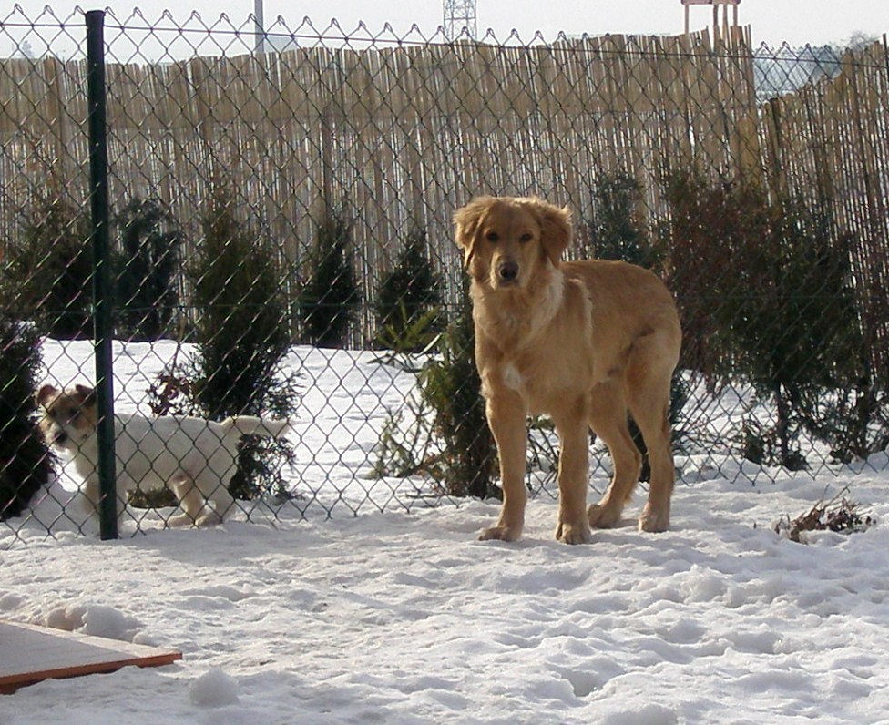 P2071000.JPG