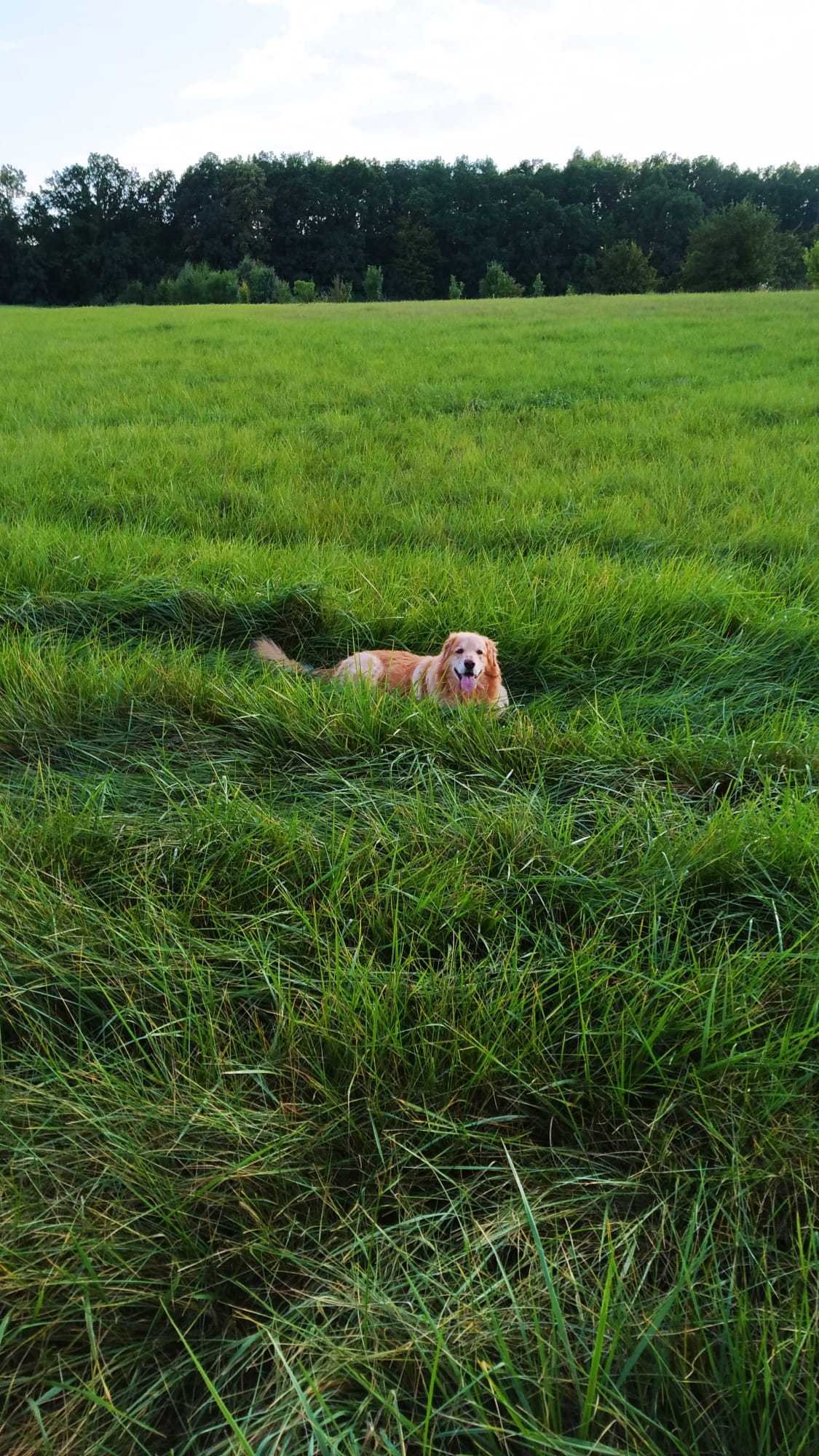 IMG-20210909-WA0010