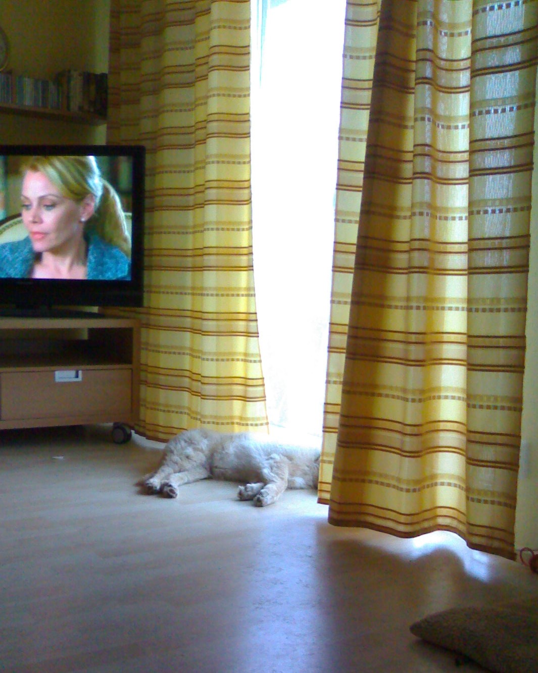 06122009412.JPG