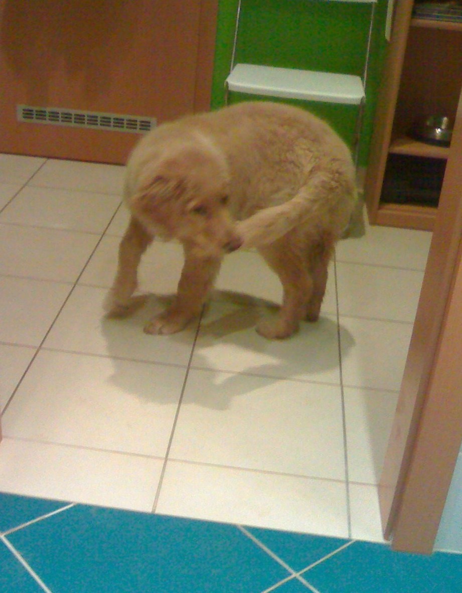 10122009417.jpg